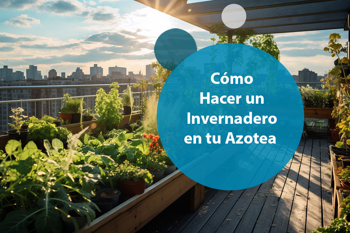 Cómo Hacer un Invernadero en tu Azotea o Ático