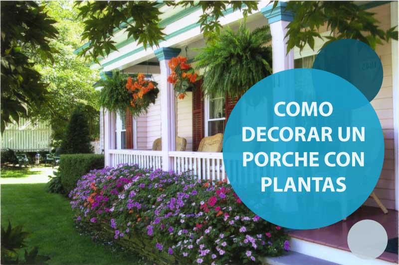 Decorar porche con plantas